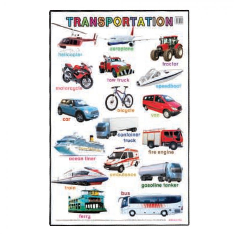 Transportation - Educational Chart (MM01454)