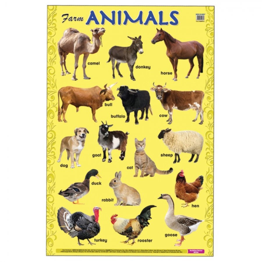 Farm Animals - Educational Chart (MM14881)