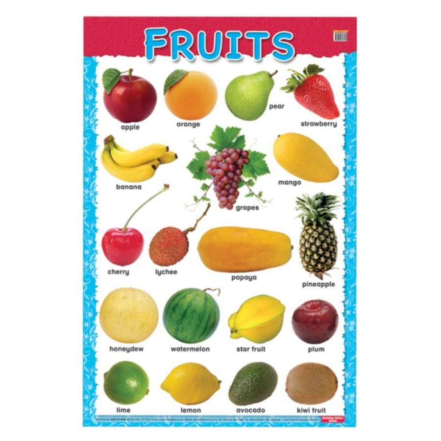 Fruits - Educational Chart (MM17530)